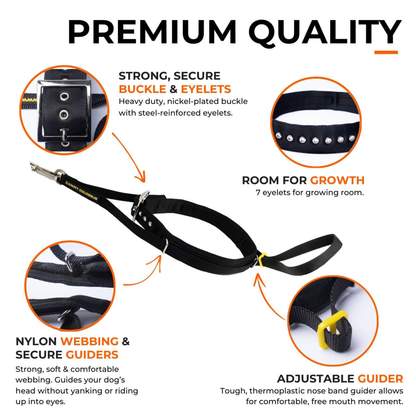 Canny Carabiners for Dog Head Collar, Pack of 2