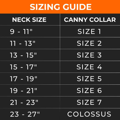 Canny Carabiners for Dog Head Collar, Pack of 2