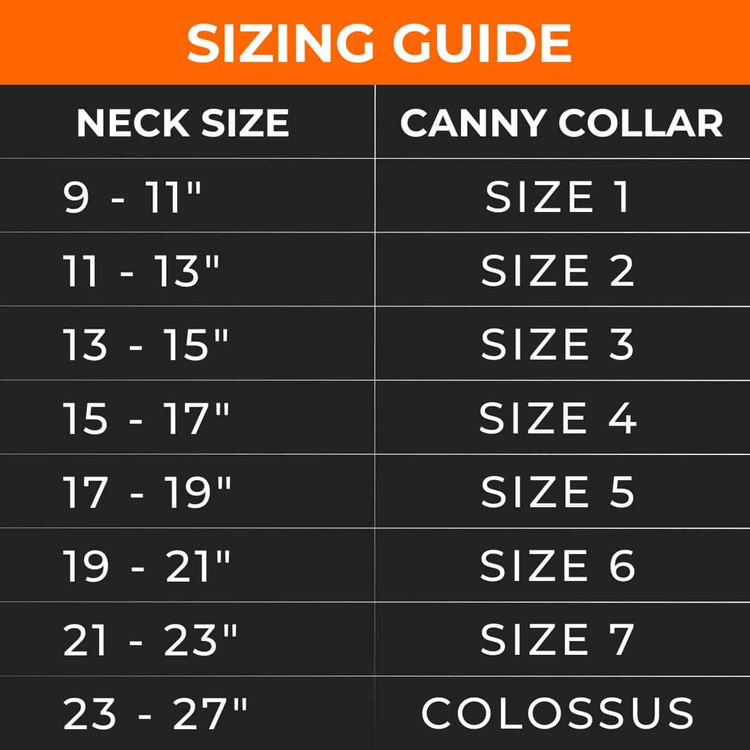 Canny Carabiners for Dog Head Collar, Pack of 2