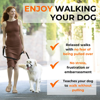 Canny Collar No-Pull Dog Head Collar Gentle & Humane Leash Training Aid