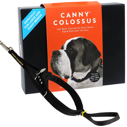 Canny Colossus No-Pull Dog Head Collar for Large Breeds