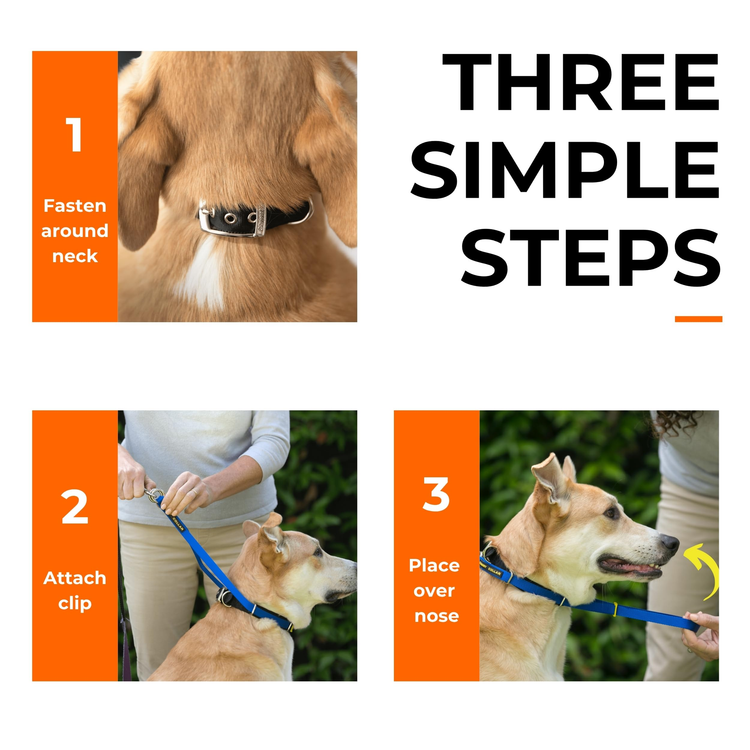 Canny Colossus No-Pull Dog Head Collar for Large Breeds