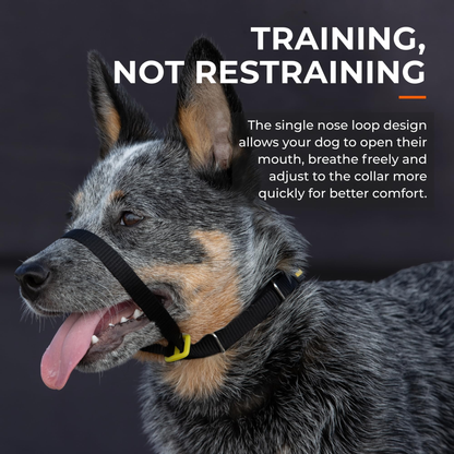Canny Colossus No-Pull Dog Head Collar for Large Breeds