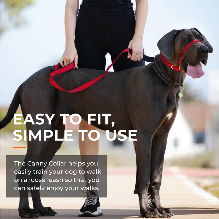 Canny Colossus No-Pull Dog Head Collar for Large Breeds