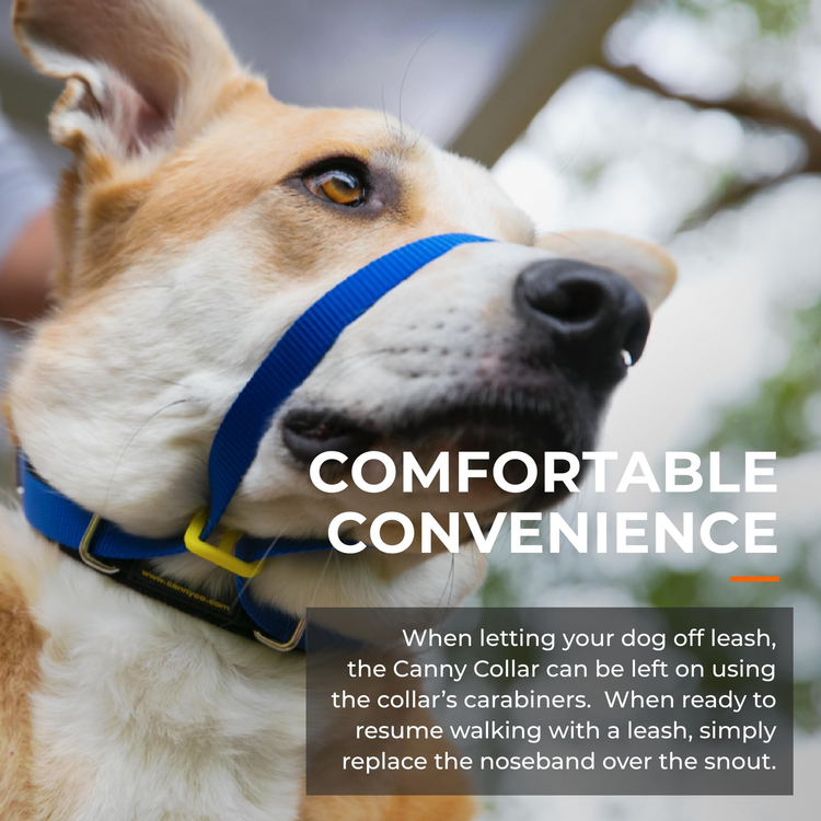 Canny Colossus No-Pull Dog Head Collar for Large Breeds