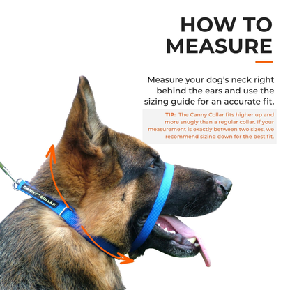 Canny Colossus No-Pull Dog Head Collar for Large Breeds