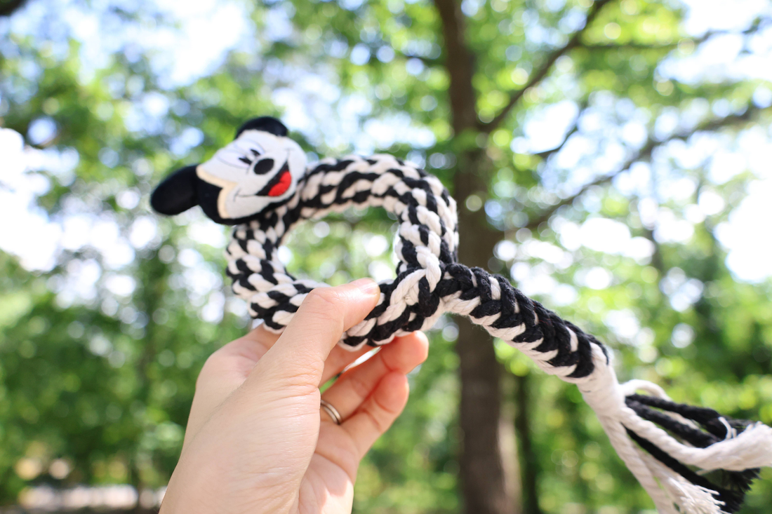 Eco Mickey Macrame Dog Rope Tug and Chew Toy
