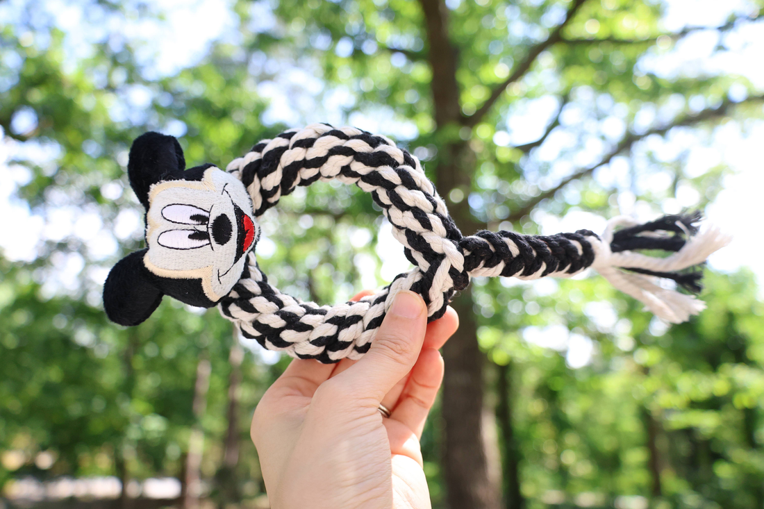Eco Mickey Macrame Dog Rope Tug and Chew Toy