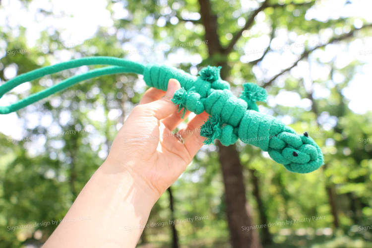 Handmade Eco-Friendly Green Lizard Dog Rope Toy