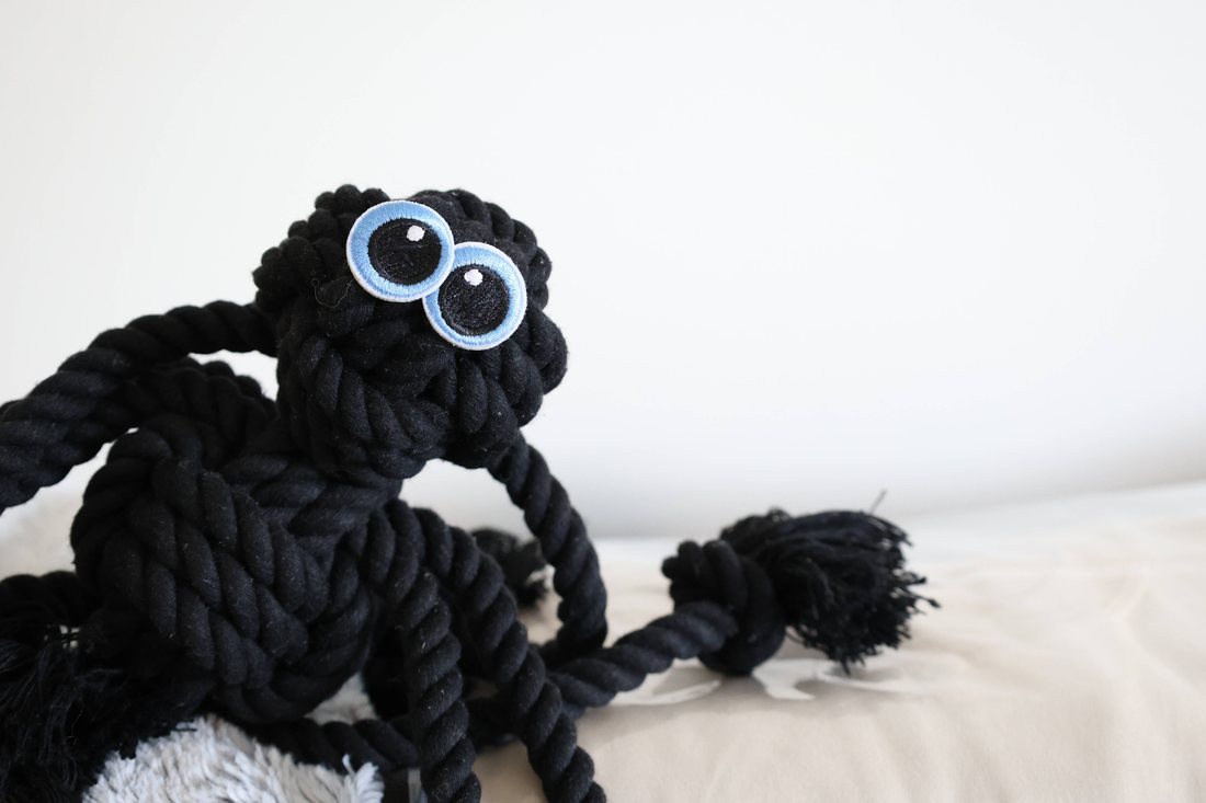 Black Rope Spider Dog Toy