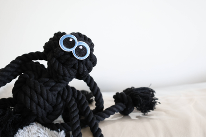 Black Rope Spider Dog Toy