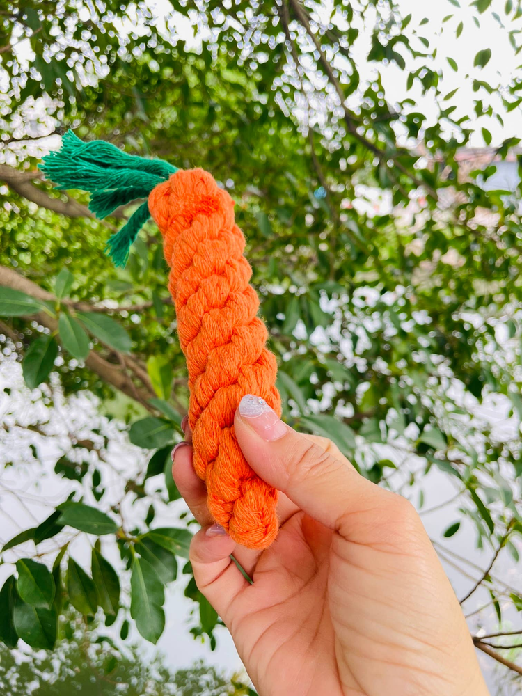 Handmade Sustainable Carrot Rope Chew Toy for Small Pets