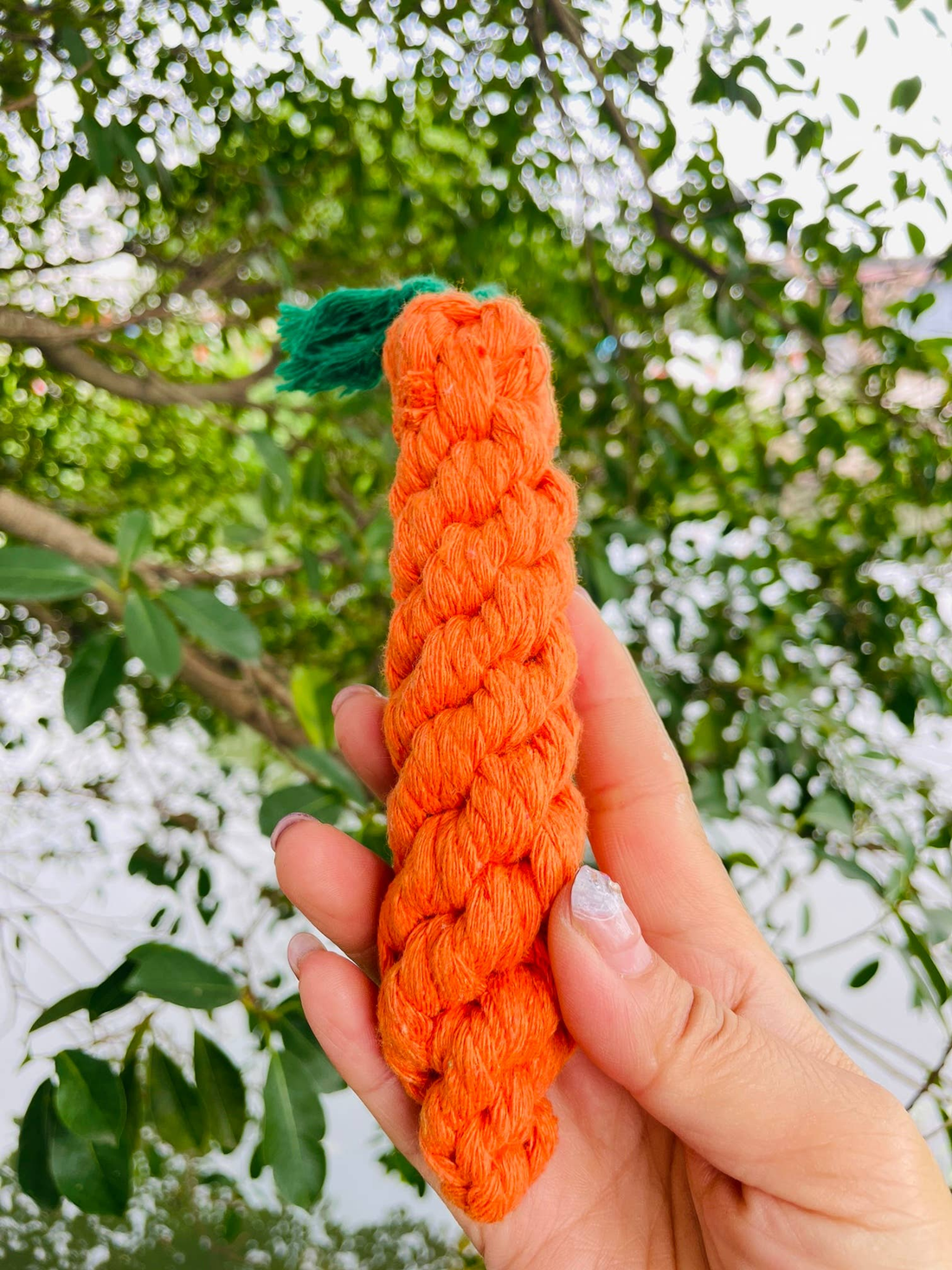 Handmade Sustainable Carrot Rope Chew Toy for Small Pets