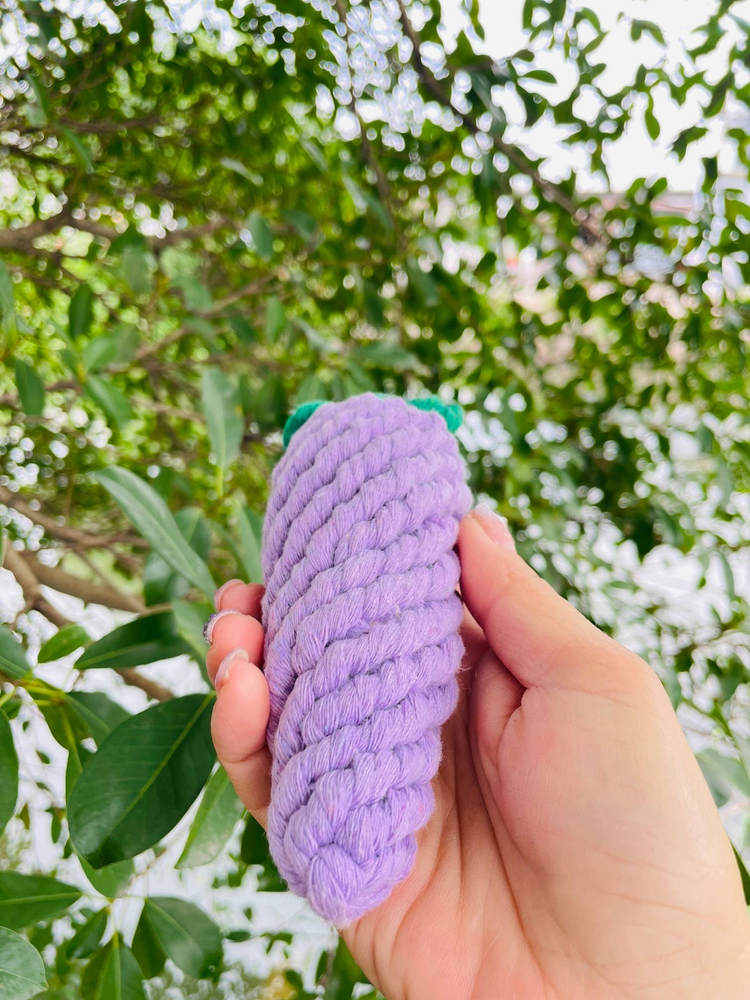 Handmade Sustainable Eggplant Rope Chew Toy for Puppies