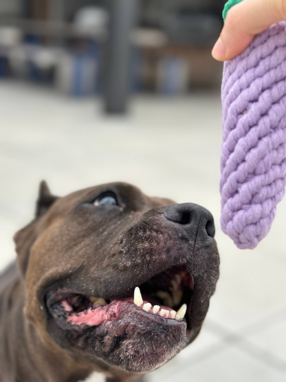 Handmade Sustainable Eggplant Rope Chew Toy for Puppies