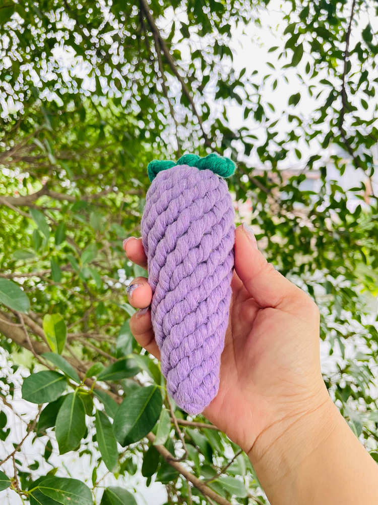 Handmade Sustainable Eggplant Rope Chew Toy for Puppies