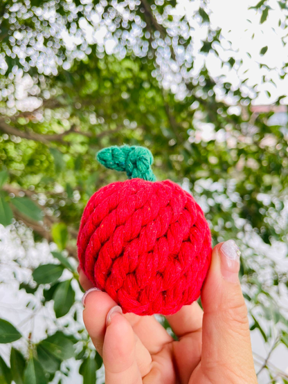 Handmade Sustainable Fuji Apple Rope Chew Toy for Puppies