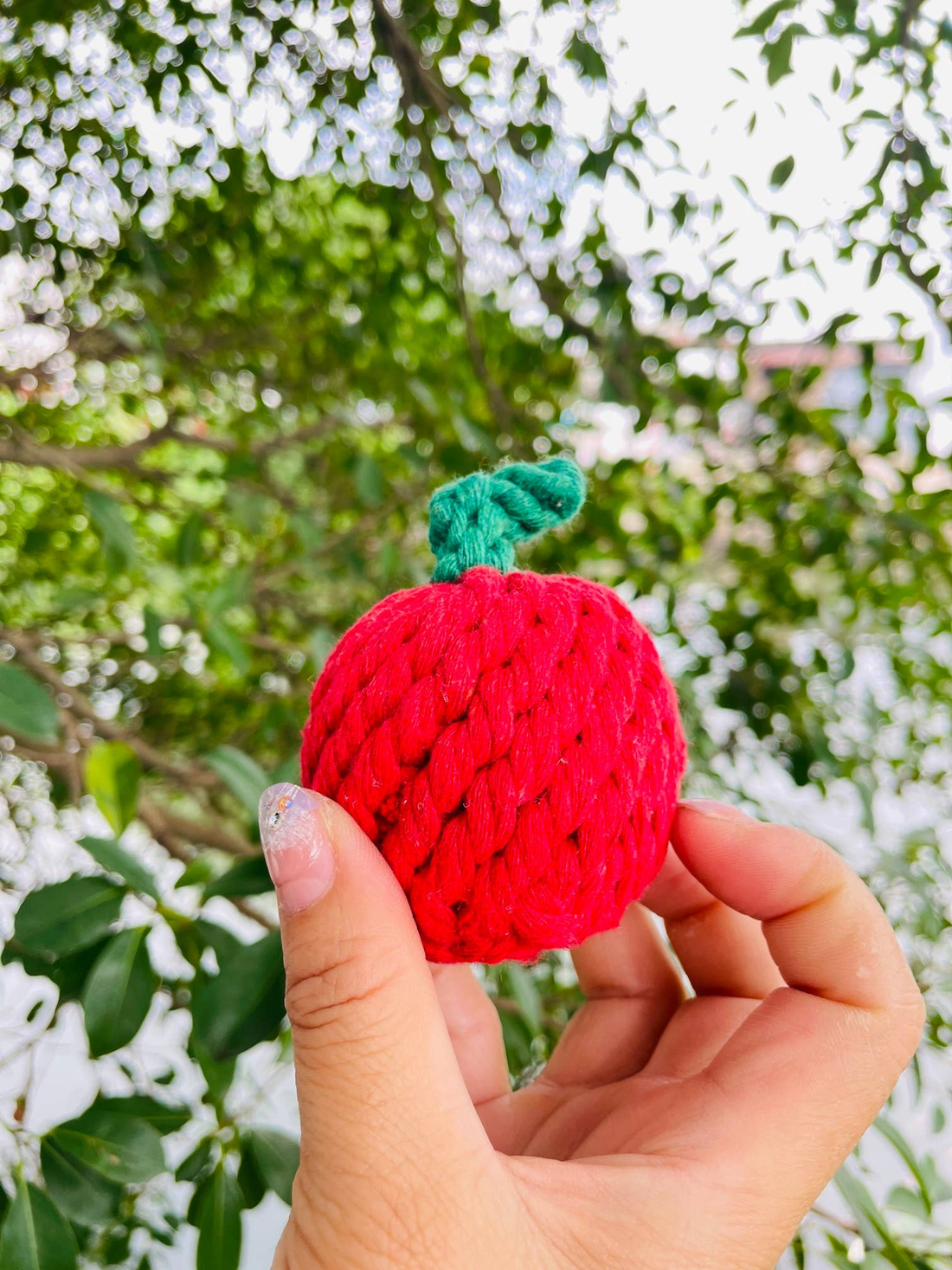 Handmade Sustainable Fuji Apple Rope Chew Toy for Puppies