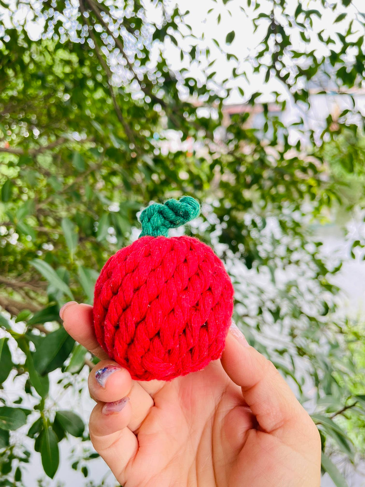 Handmade Sustainable Fuji Apple Rope Chew Toy for Puppies