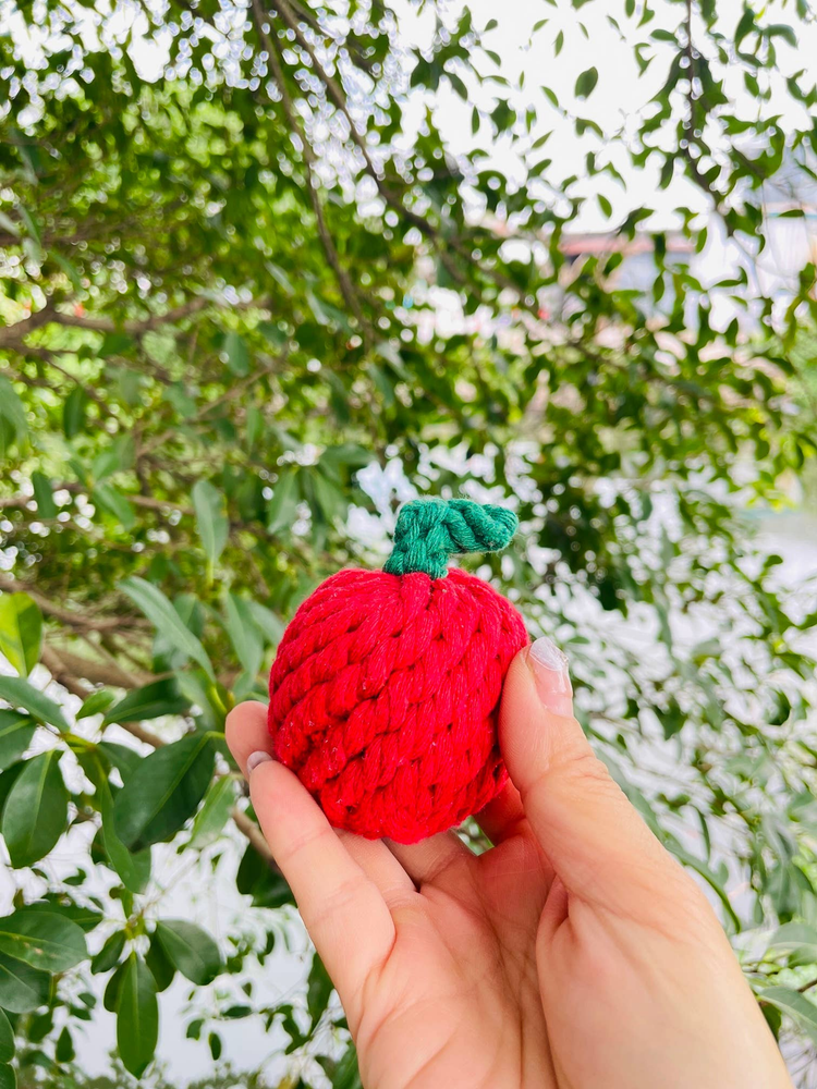 Handmade Sustainable Fuji Apple Rope Chew Toy for Puppies