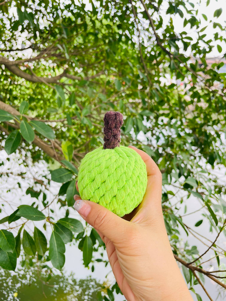 Handmade Sustainable Green Apple Rope Chew Toy for Puppies