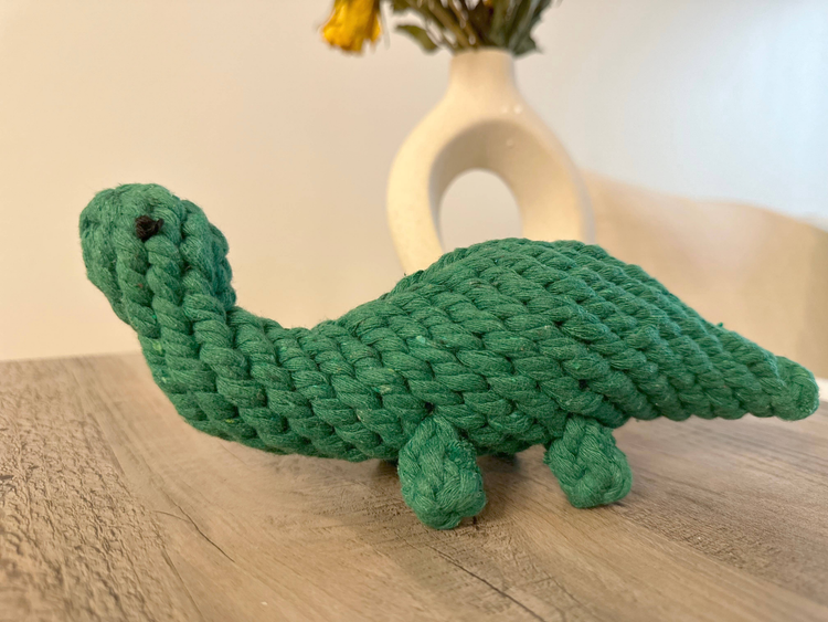 Handmade Sustainable Green Dinosaur Rope Dog Toy