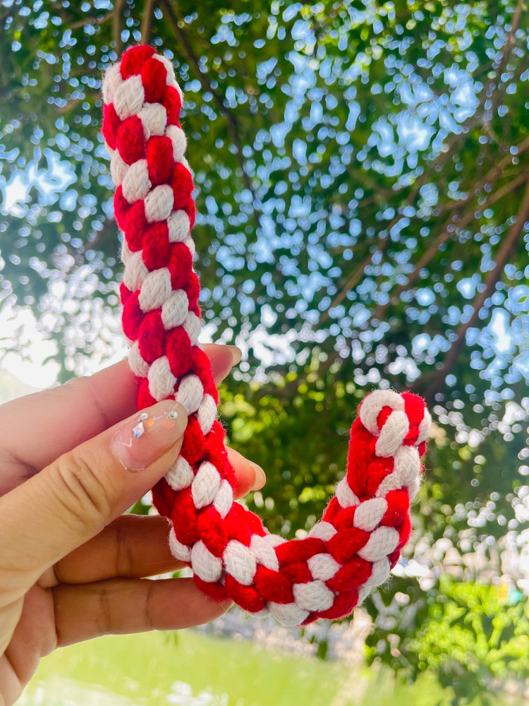 Small Braided Rope Candy Cane Dog Toy