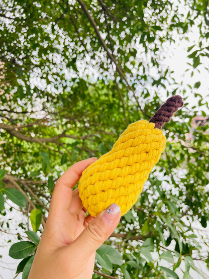 Handmade Sustainable Pear Rope Chew Toy for Puppies