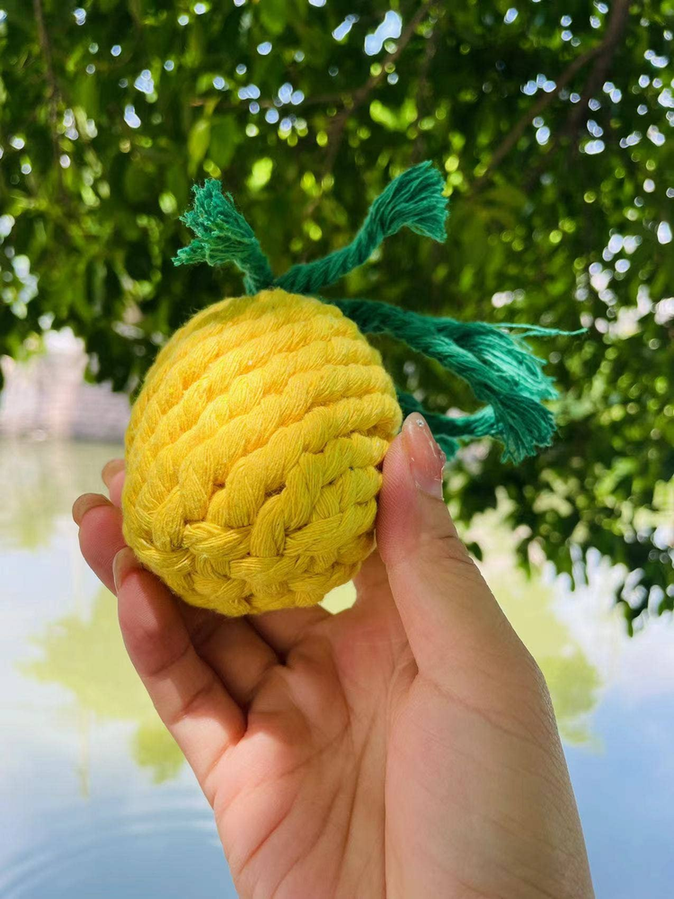 Handmade Sustainable Pineapple Rope Dog Toy