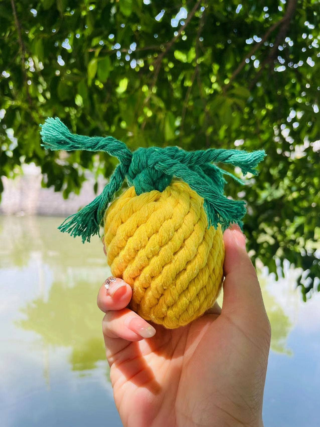 Handmade Sustainable Pineapple Rope Dog Toy