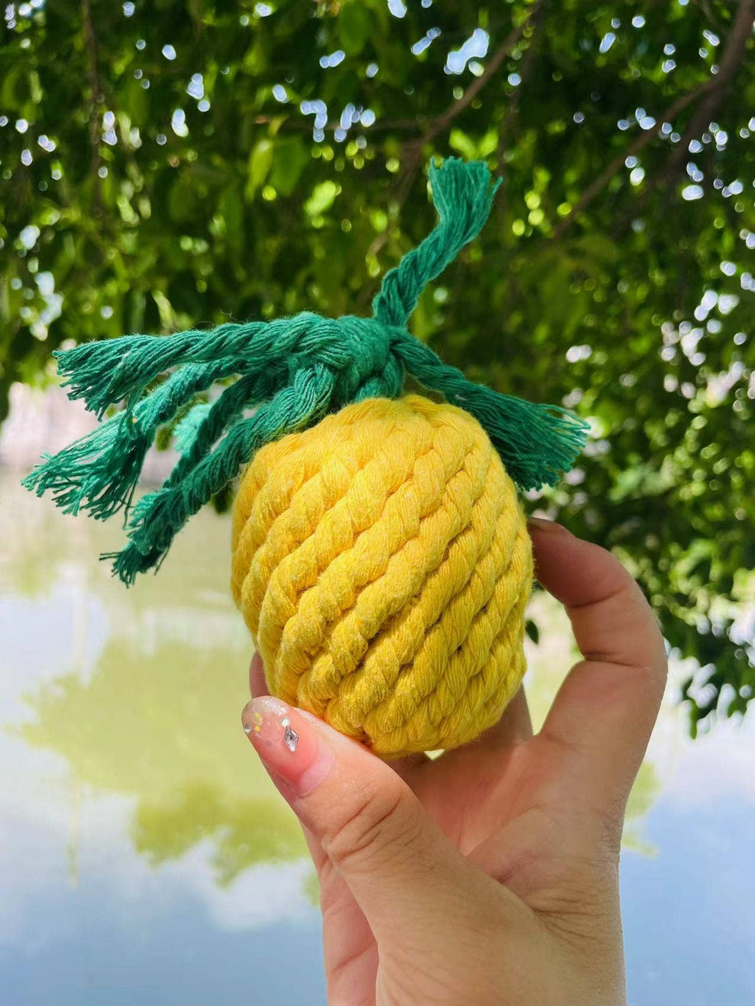 Handmade Sustainable Pineapple Rope Dog Toy