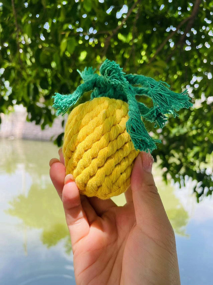 Handmade Sustainable Pineapple Rope Dog Toy