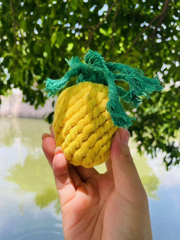 Handmade Sustainable Pineapple Rope Dog Toy