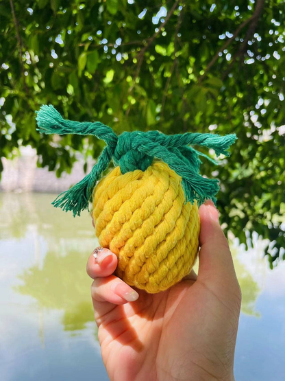 Handmade Sustainable Pineapple Rope Dog Toy