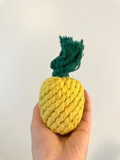 Handmade Sustainable Pineapple Rope Dog Toy