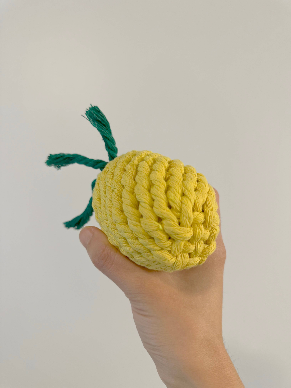Handmade Sustainable Pineapple Rope Dog Toy