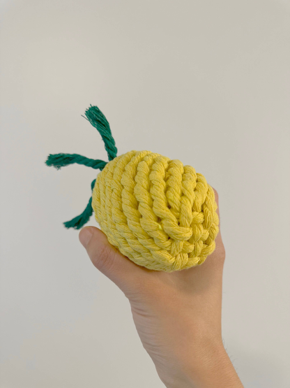 Handmade Sustainable Pineapple Rope Dog Toy
