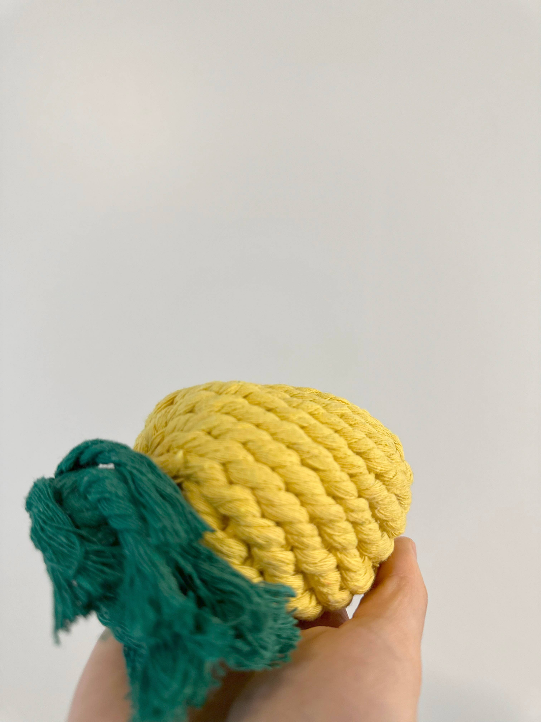 Handmade Sustainable Pineapple Rope Dog Toy