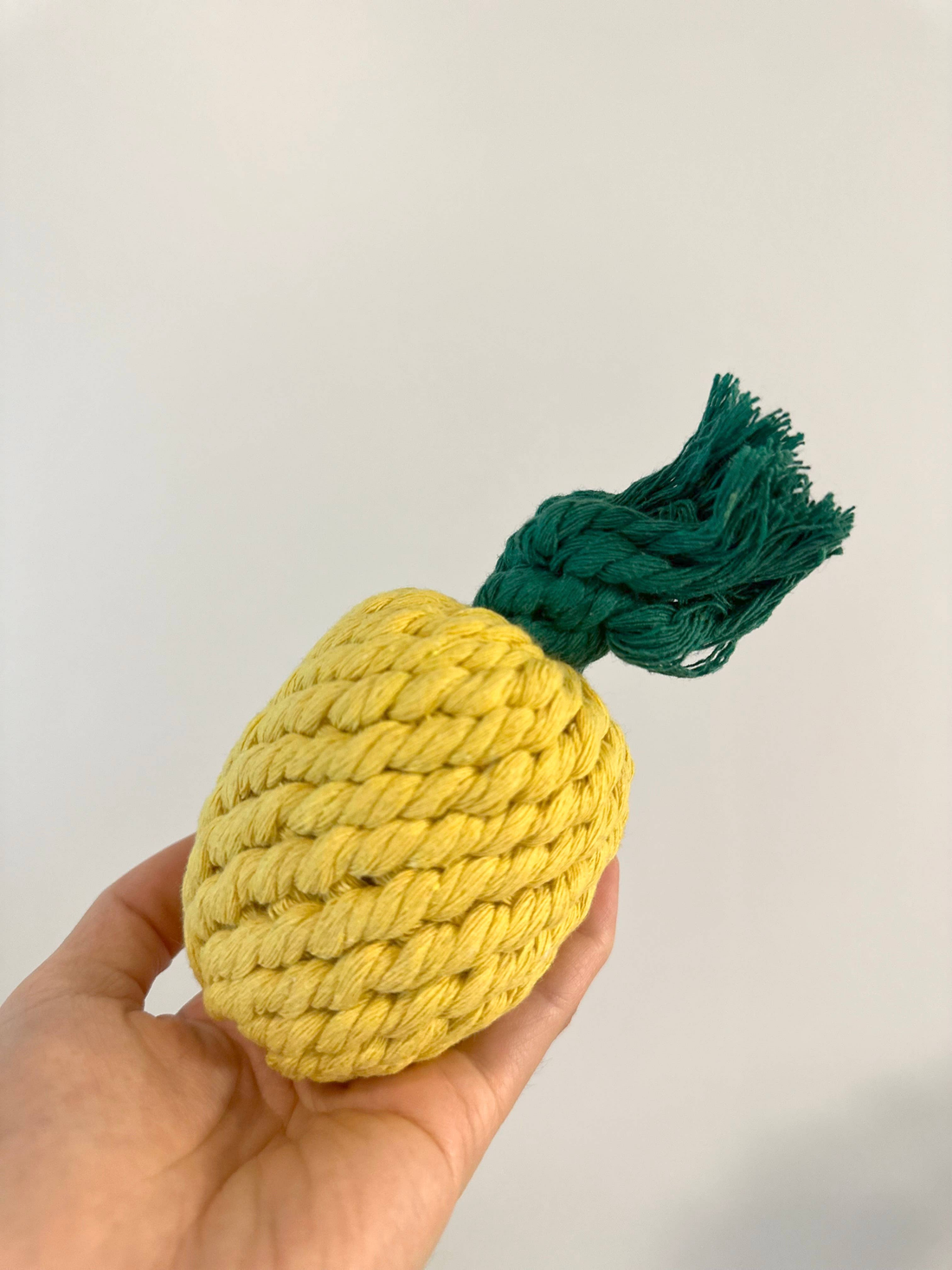 Handmade Sustainable Pineapple Rope Dog Toy