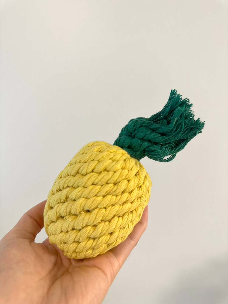 Handmade Sustainable Pineapple Rope Dog Toy