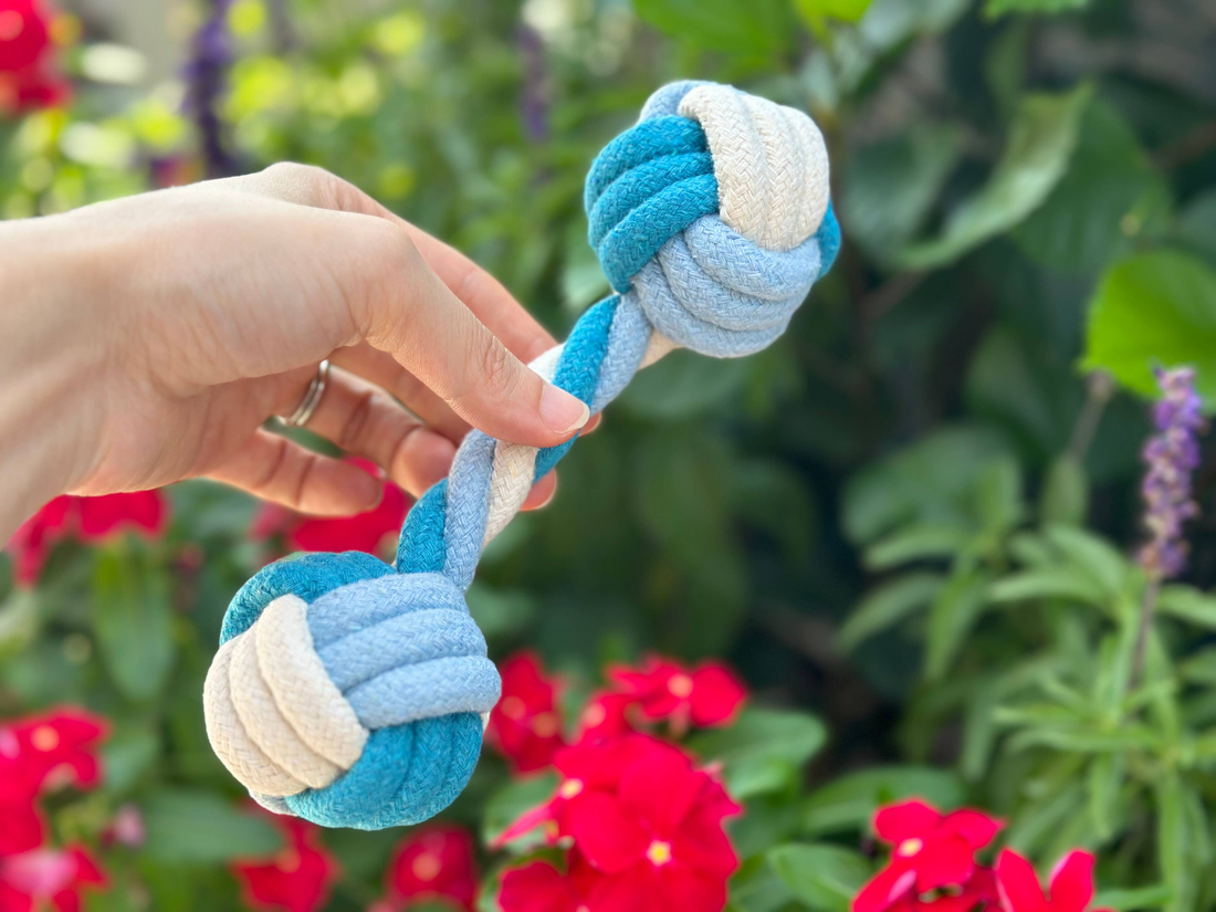 Handmade Sustainable Rope Dog Chew Toys, 4-Piece Set