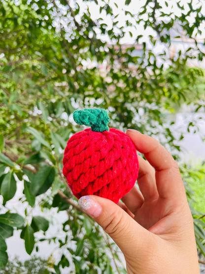 Handmade Sustainable Strawberry Rope Chew Toy for Puppies