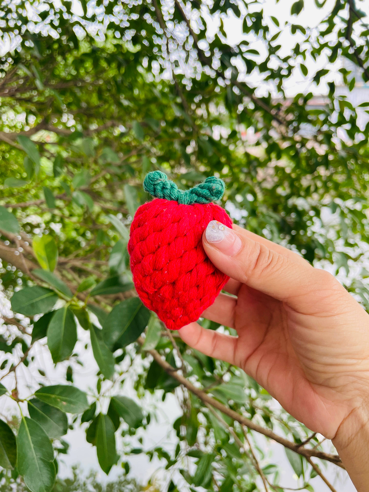 Handmade Sustainable Strawberry Rope Chew Toy for Puppies