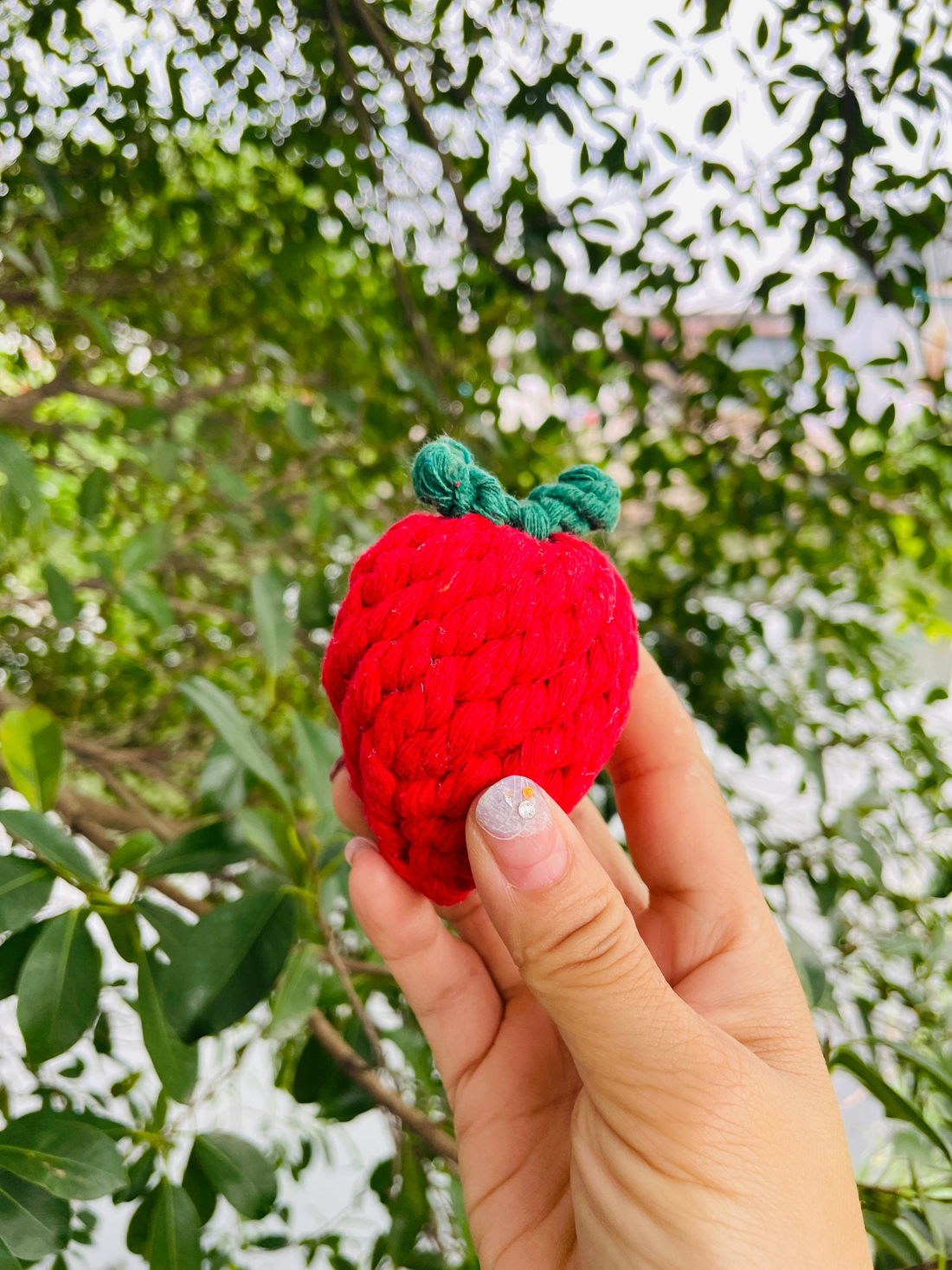 Handmade Sustainable Strawberry Rope Chew Toy for Puppies