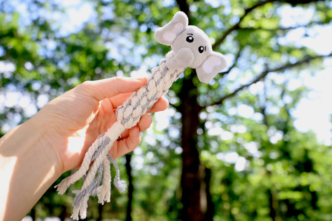 Eco Elephant Dog Rope Plush Squeaky Tug Toy