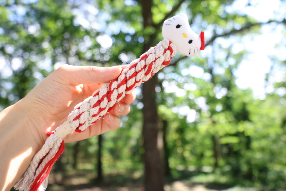 Eco Kitty Plush Squeaky Rope Dog Toy for Puppies