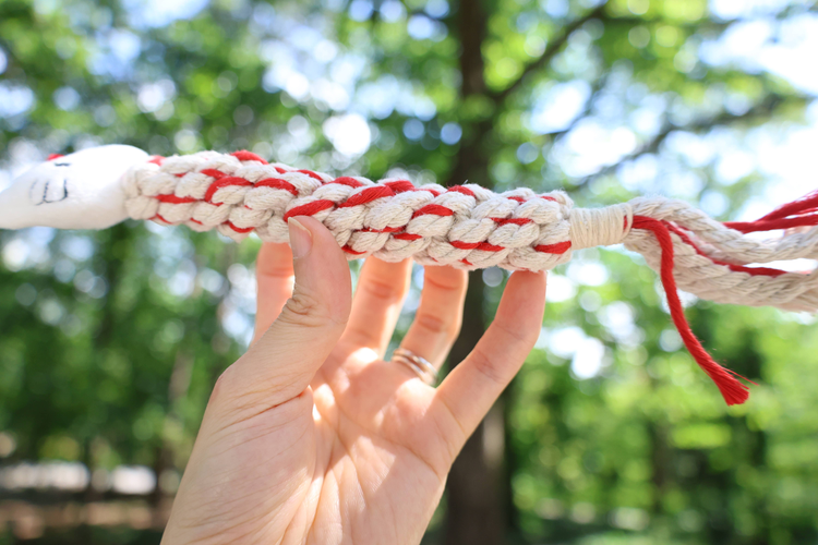 Eco Kitty Plush Squeaky Rope Dog Toy for Puppies