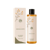 Persimmon Refreshing Shampoo