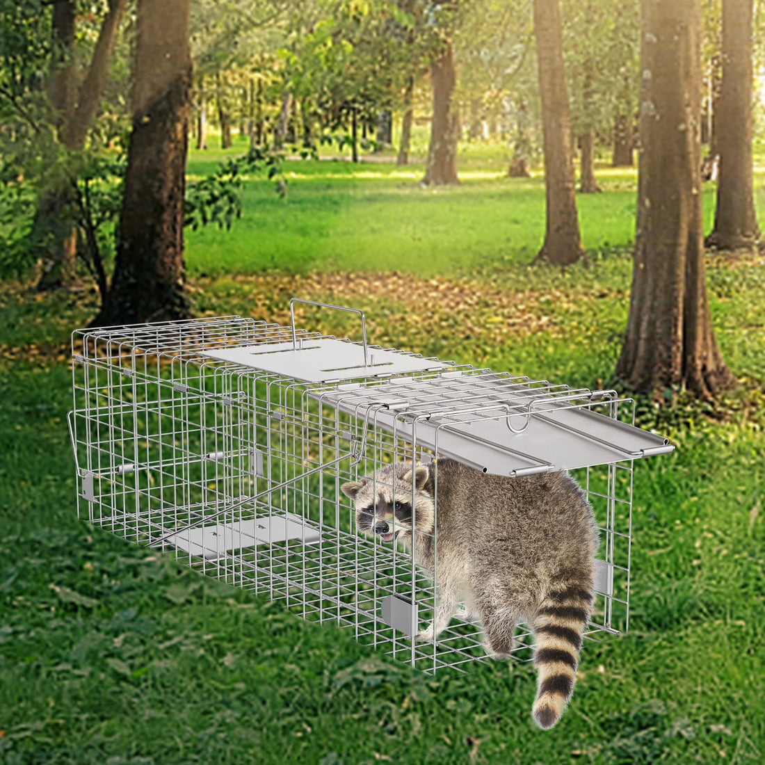 24 inch live animal cage trap main view