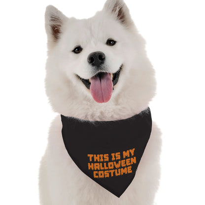 This is My Halloween Costume